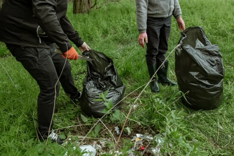 Évacuation de déchets végétaux
