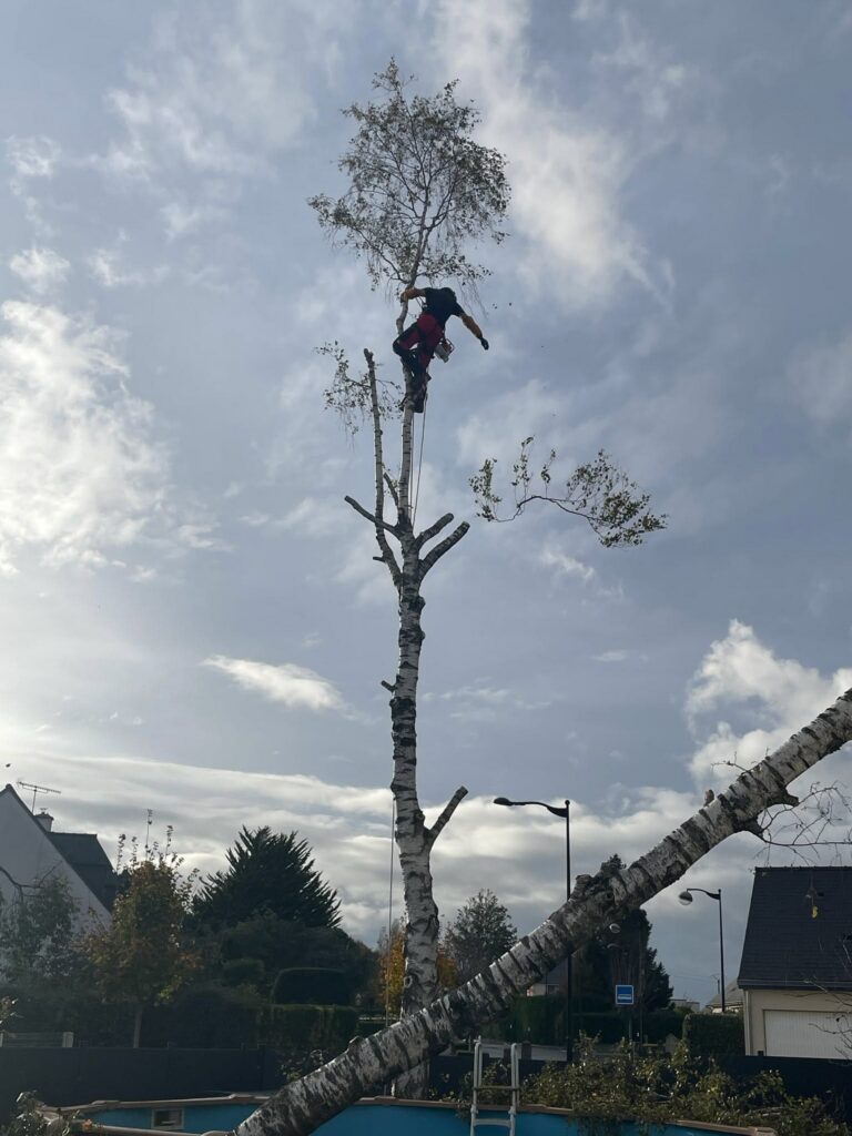 activité sur le terrain