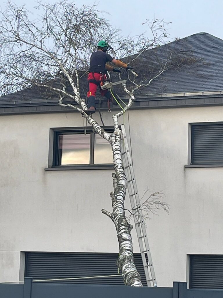 activité sur le terrain