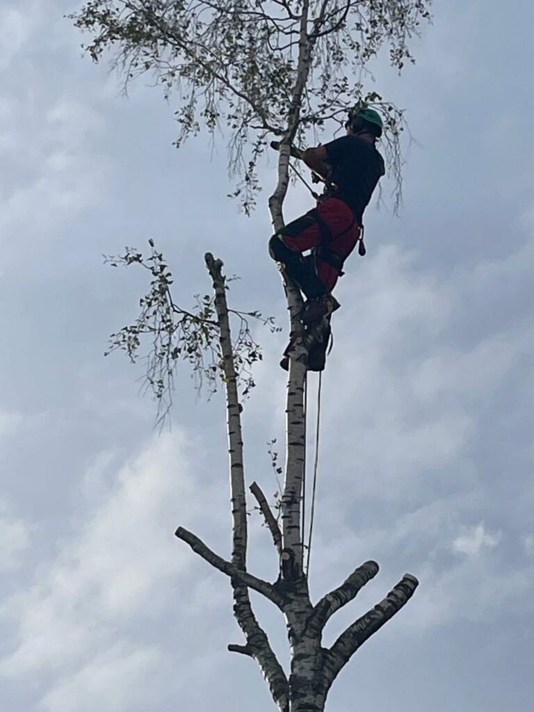 activité sur le terrain