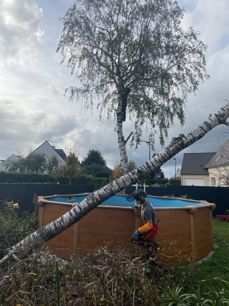 activité sur le terrain