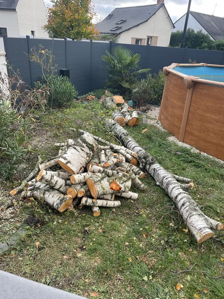 activité sur le terrain