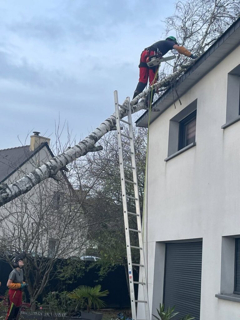 activité sur le terrain