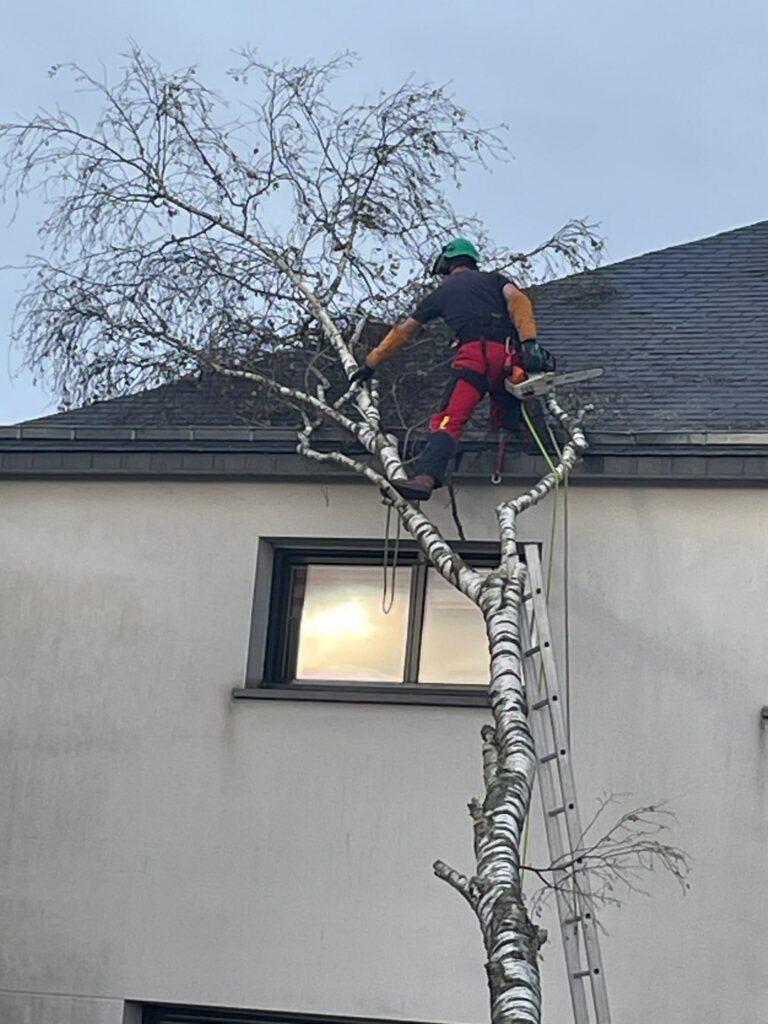 activité sur le terrain